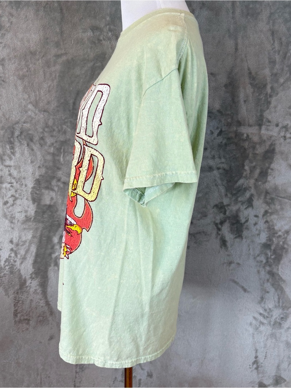 Lynyrd Skynyrd Mint Green Graphic Tee Unisex Sz M - Picture 5 of 7